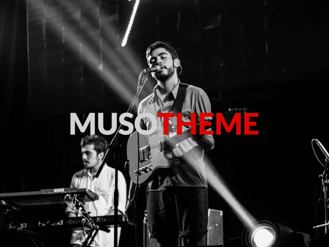 WordPress Music Themes