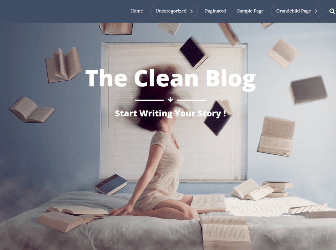 10 Best Free Clean WordPress Themes
